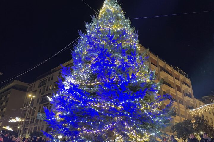 Albero di Natale 2023 in Piazza Salotto