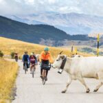 La Giunta regionale dell’Abruzzo ha approvato i contributi per le manifestazioni sportive , tra cui la Nova Eroica