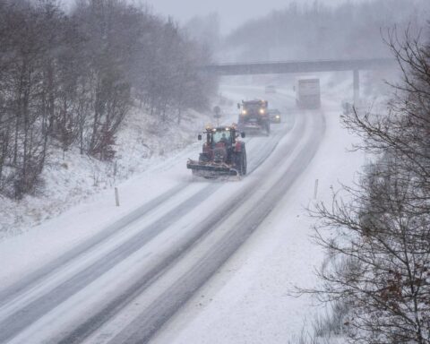neve