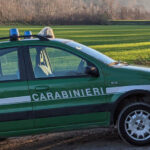 carabineri_forestali