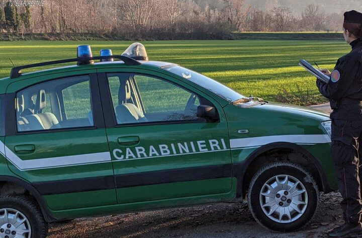 carabineri_forestali