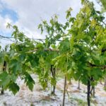 Rischio grandine secondo le previsioni meteo