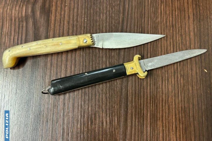 due coltelli con manico e lame da 9 e 10 cm su un tavolo di legno