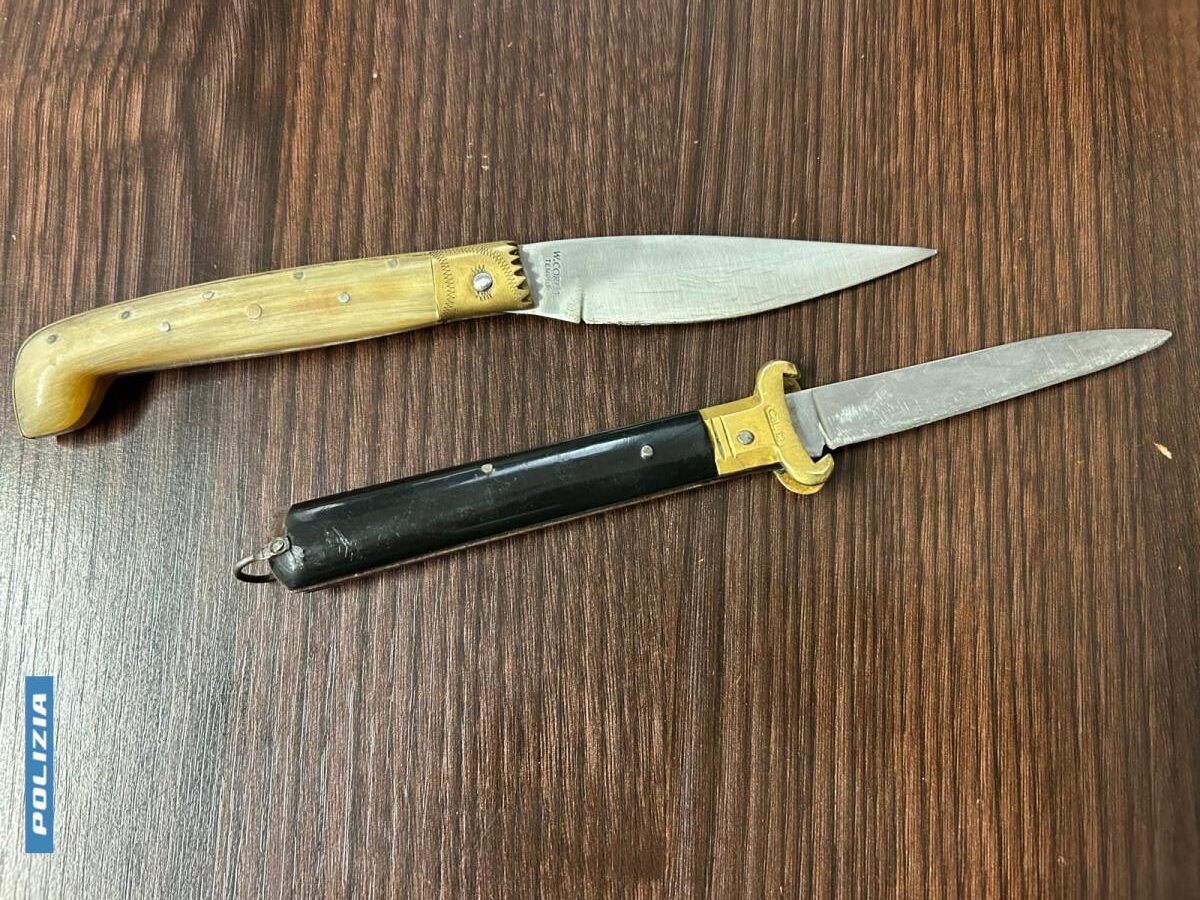 due coltelli con manico e lame da 9 e 10 cm su un tavolo di legno