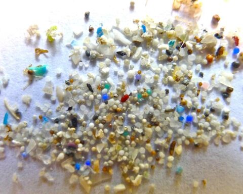 Microplastiche, secondo uno studio dell’Università di Tolosa l’esposizione quotidiana alle microplastiche in casa e in auto è cento volte superiore alle stime precedenti