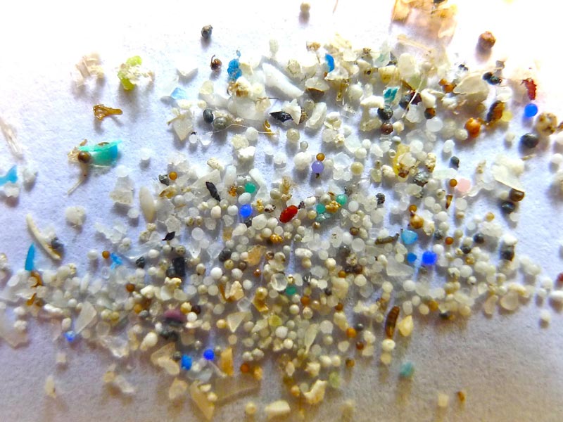 Microplastiche, secondo uno studio dell’Università di Tolosa l’esposizione quotidiana alle microplastiche in casa e in auto è cento volte superiore alle stime precedenti