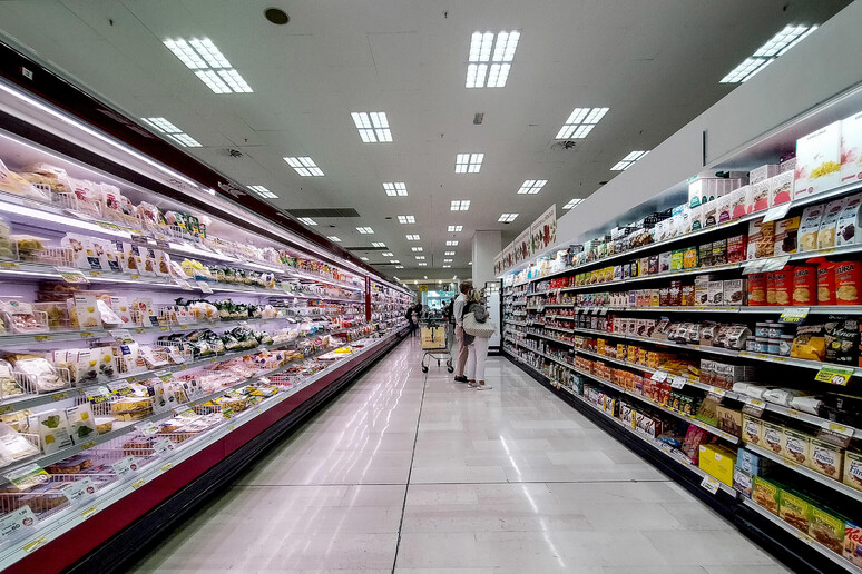 Persone che fanno acquisti spingendo il carrello in un supermercato, immagine che richiama l’uso della social card del Bonus Spesa