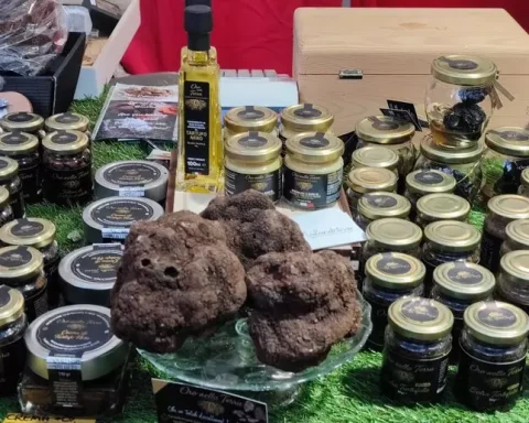 Primo piano di un tartufo nero abruzzese, protagonista della festa di Sante Marie, simbolo dei sapori autentici del territorio