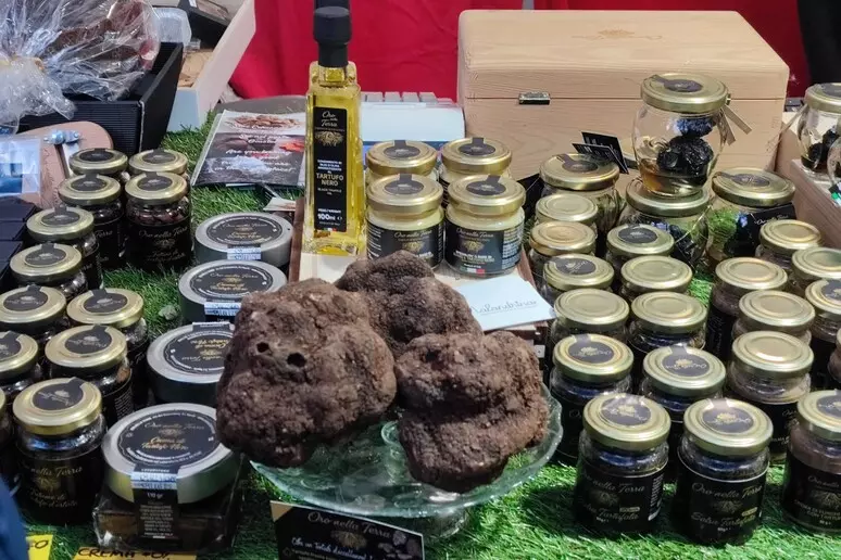 Primo piano di un tartufo nero abruzzese, protagonista della festa di Sante Marie, simbolo dei sapori autentici del territorio