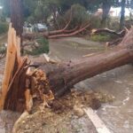 UNA STRADA DI FOSSACESIA COPITA DAL NUBIFRAGIO
