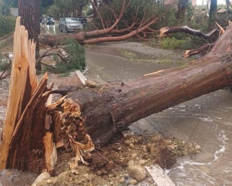 UNA STRADA DI FOSSACESIA COPITA DAL NUBIFRAGIO