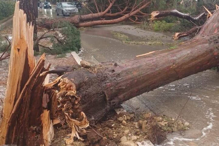 UNA STRADA DI FOSSACESIA COPITA DAL NUBIFRAGIO