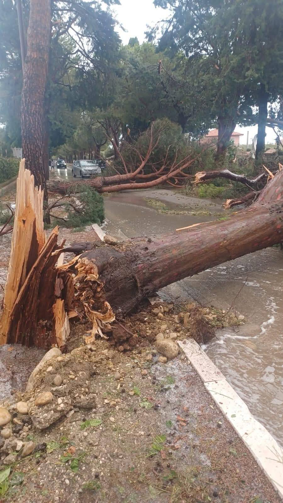 UNA STRADA DI FOSSACESIA COPITA DAL NUBIFRAGIO