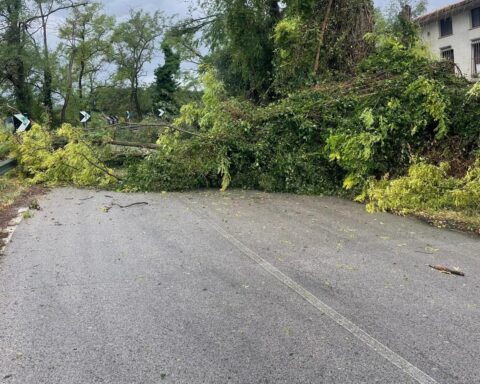 UNA STRADA INVASA DA UN ALBERO A FOSSACESIA