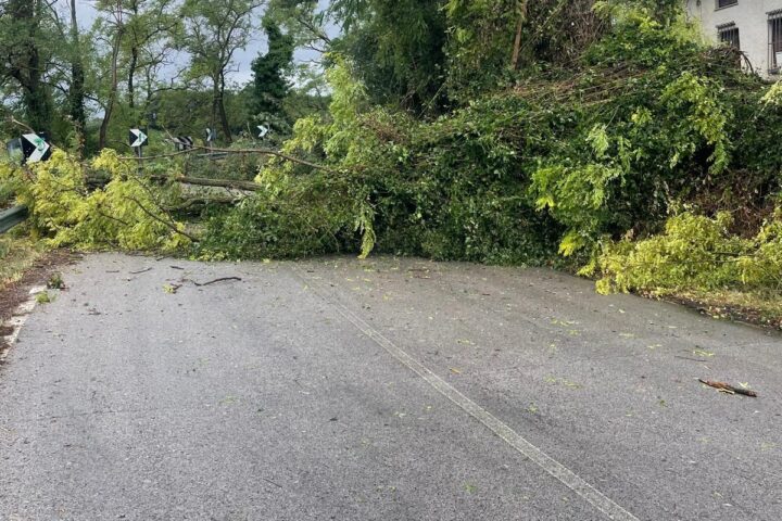 UNA STRADA INVASA DA UN ALBERO A FOSSACESIA