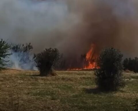 l'incendio divampato a città sant'angelo nel pomeriggio del 16 agosto