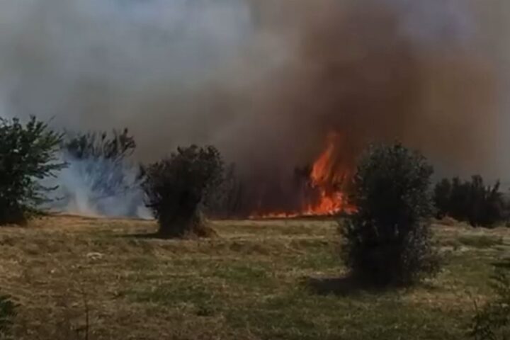 l'incendio divampato a città sant'angelo nel pomeriggio del 16 agosto