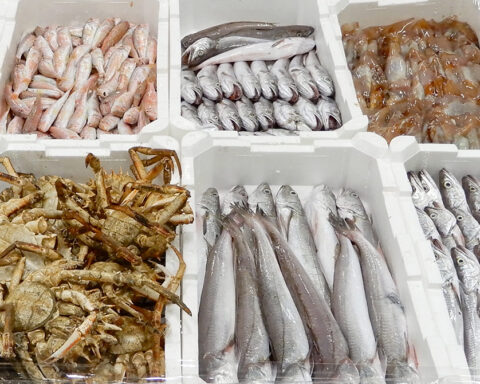 Il prezzo del pesce al mercato ittico è in forte rialzo a causa del maltempo e del fermo pesca in Adriatico