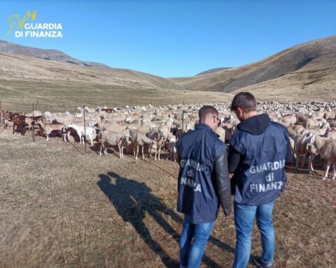 Frode sui fondi agricoli UE: sequestrati 17,2 milioni a 48 imprenditori, coinvolto anche l’Abruzzo