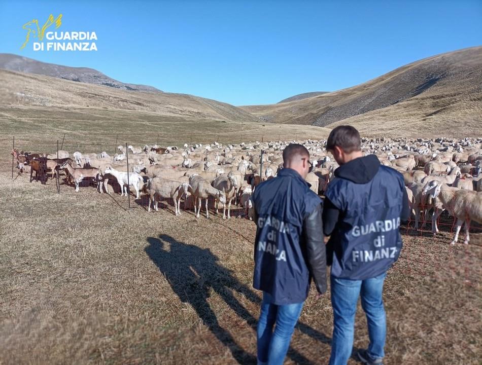 Frode sui fondi agricoli UE: sequestrati 17,2 milioni a 48 imprenditori, coinvolto anche l’Abruzzo