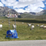 La Consigliera regionale della Lega interviene sulla cartellonista di Campo Imperatore con una lettera al presidente della Provincia