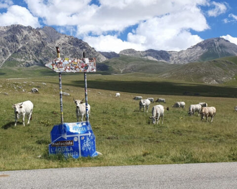 La Consigliera regionale della Lega interviene sulla cartellonista di Campo Imperatore con una lettera al presidente della Provincia