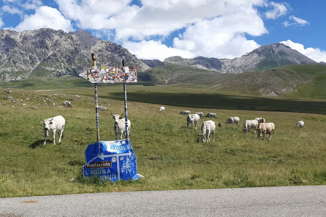 La Consigliera regionale della Lega interviene sulla cartellonista di Campo Imperatore con una lettera al presidente della Provincia
