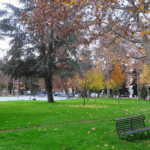 Uno scorcio di un’area verde all’Aquila, tra gli aspetti positivi rilevati dal rapporto “Ecosistema urbano 2025” di Legambiente.