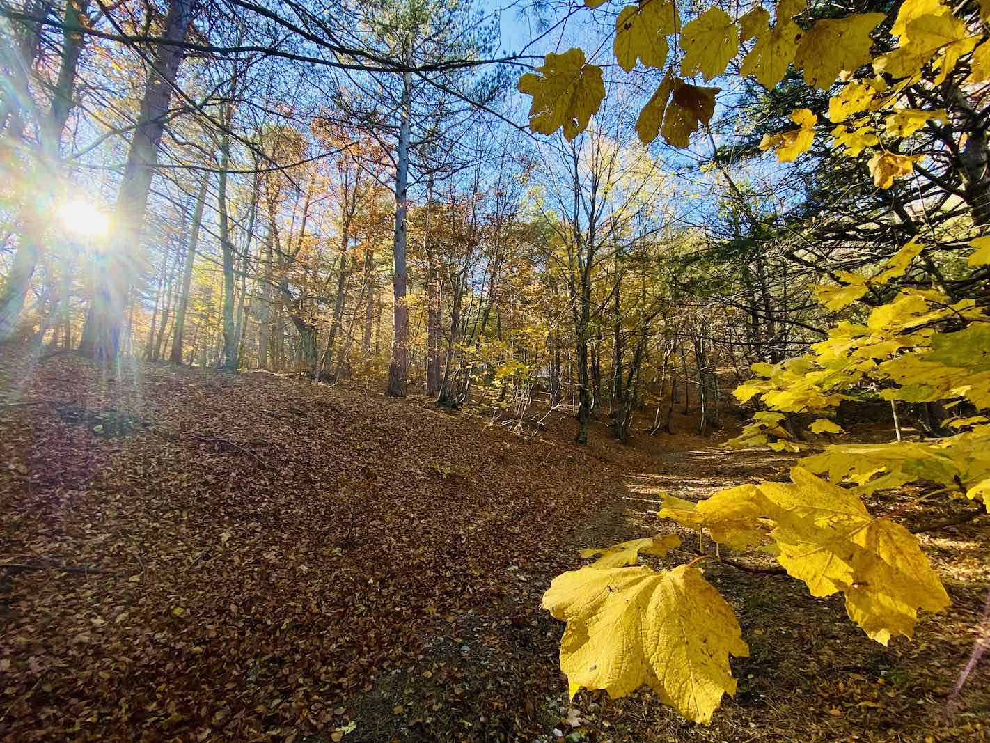 Meteo Abruzzo, ottobrata