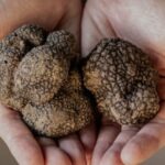 Presentata la quarta Fiera dei tartufi d’Abruzzo che si terrà all’Aquila dal 28 al 30 novembre 2025