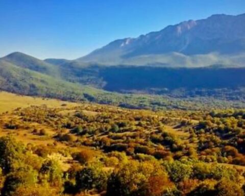 Foresta Modello Valle dell’Aterno