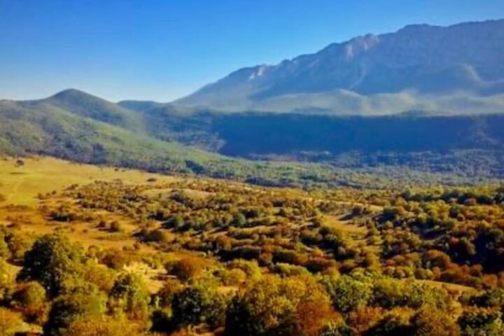 Foresta Modello Valle dell’Aterno