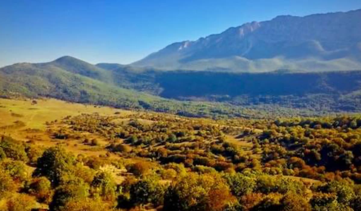 Foresta Modello Valle dell’Aterno