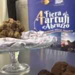 Una selezione di tartufi bianchi e neri esposti nello stand della Fiera internazionale dei Tartufi d’Abruzzo. In primo piano le varietà oggetto delle analisi scientifiche illustrate da Arpa Abruzzo