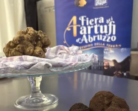 Una selezione di tartufi bianchi e neri esposti nello stand della Fiera internazionale dei Tartufi d’Abruzzo. In primo piano le varietà oggetto delle analisi scientifiche illustrate da Arpa Abruzzo