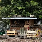 casa_nel_bosco