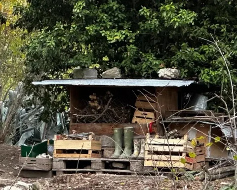 Una delle strutture presenti nell’area boschiva di Palmoli dove viveva la famiglia coinvolta nel provvedimento del Tribunale per i minorenni. L’immagine mostra parte dell’ambiente rurale in cui i bambini sono cresciuti