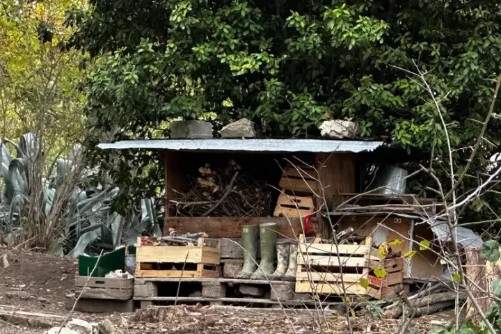 Una delle strutture presenti nell’area boschiva di Palmoli dove viveva la famiglia coinvolta nel provvedimento del Tribunale per i minorenni. L’immagine mostra parte dell’ambiente rurale in cui i bambini sono cresciuti