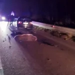 Veicoli fermi sulla statale Sora-Avezzano dopo l’incidente avvenuto nella notte all’altezza dell’uscita Le Rosce. Nell’impatto è morto un giovane esemplare di orso bruno marsicano, travolto mentre attraversava la carreggiata.