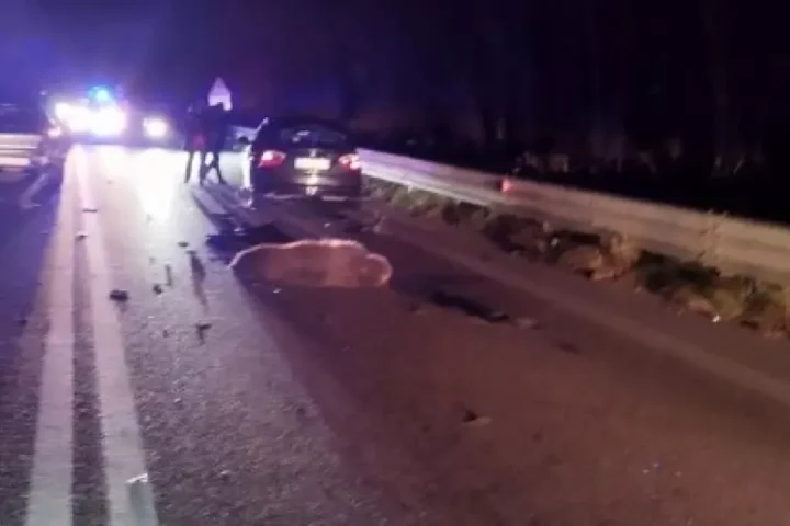 Veicoli fermi sulla statale Sora-Avezzano dopo l’incidente avvenuto nella notte all’altezza dell’uscita Le Rosce. Nell’impatto è morto un giovane esemplare di orso bruno marsicano, travolto mentre attraversava la carreggiata.