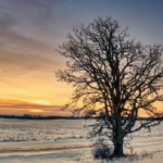 Solstizio d’inverno 2025