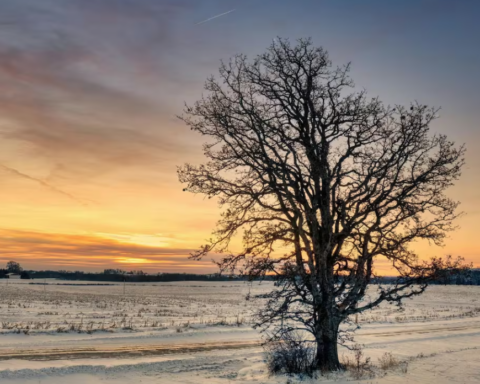 Solstizio d’inverno 2025