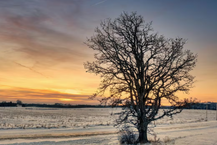 Solstizio d’inverno 2025