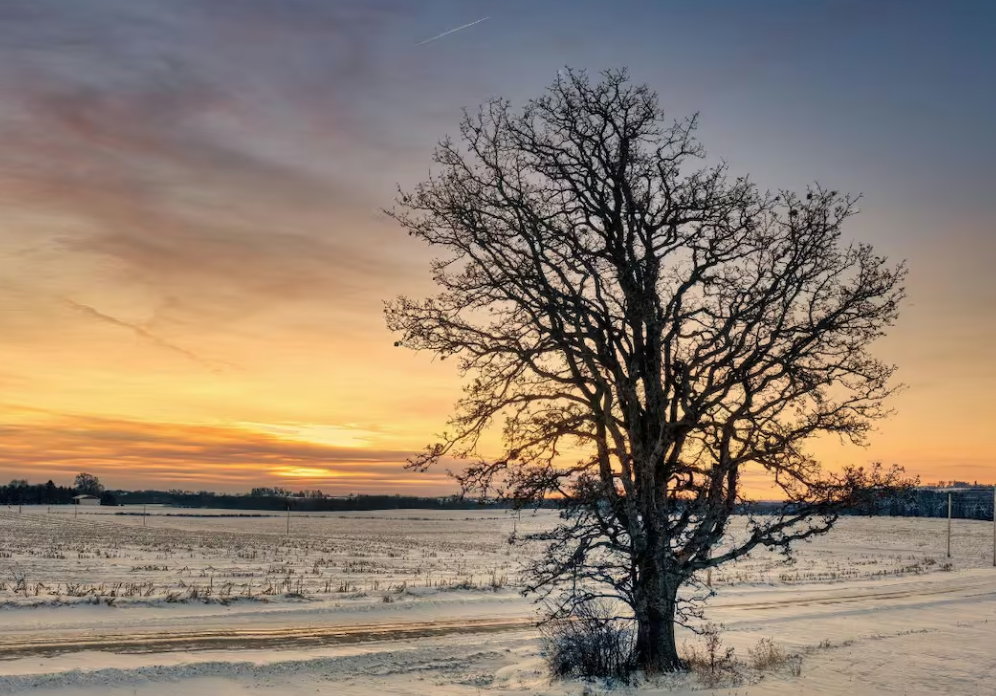 Solstizio d’inverno 2025