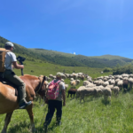 CASTEL DEL MONTE: ANTEPRIMA DOCUMENTARIO "LE VIE DELLA LANA", IN ATTESA MESSA IN ONDA SU GEO, CON INTERVISTA INEDITA A PASTORE TRANSUMANTE DONATO MUCCIANTE POCO PRIMA DELLA SCOMPARSA
