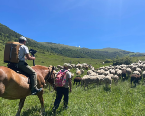 CASTEL DEL MONTE: ANTEPRIMA DOCUMENTARIO "LE VIE DELLA LANA", IN ATTESA MESSA IN ONDA SU GEO, CON INTERVISTA INEDITA A PASTORE TRANSUMANTE DONATO MUCCIANTE POCO PRIMA DELLA SCOMPARSA
