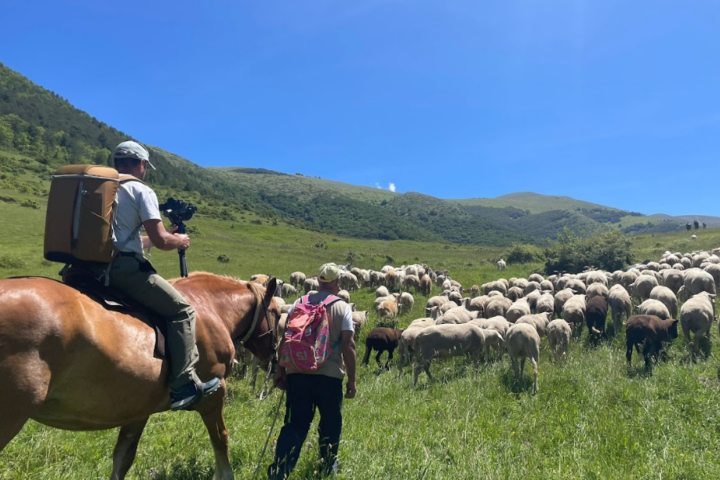 CASTEL DEL MONTE: ANTEPRIMA DOCUMENTARIO "LE VIE DELLA LANA", IN ATTESA MESSA IN ONDA SU GEO, CON INTERVISTA INEDITA A PASTORE TRANSUMANTE DONATO MUCCIANTE POCO PRIMA DELLA SCOMPARSA