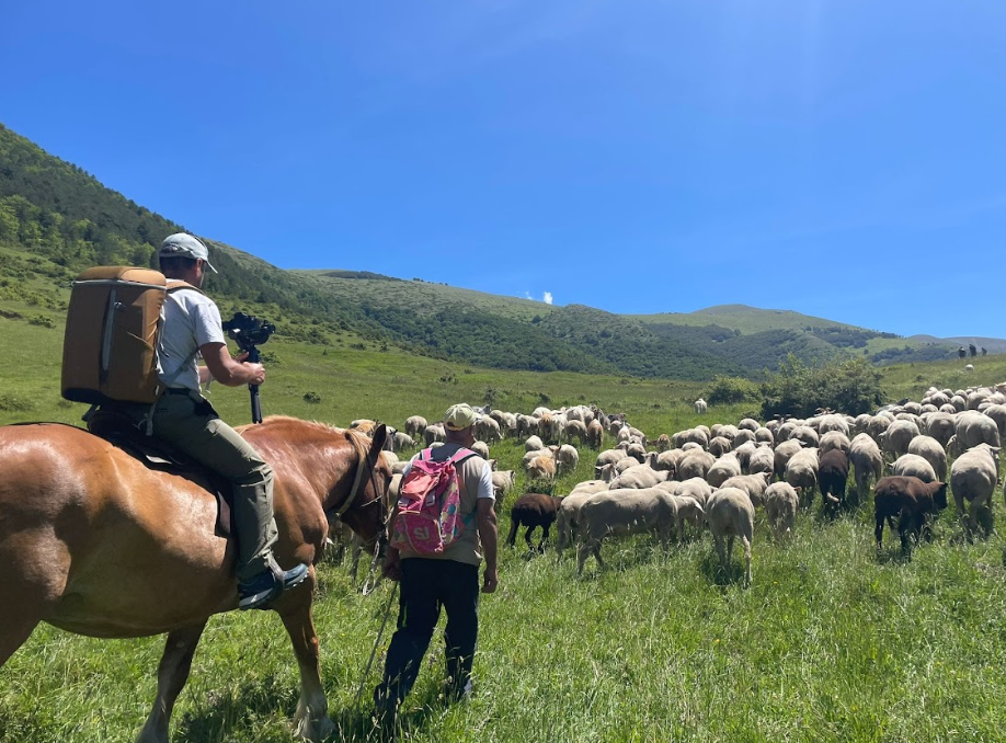 CASTEL DEL MONTE: ANTEPRIMA DOCUMENTARIO "LE VIE DELLA LANA", IN ATTESA MESSA IN ONDA SU GEO, CON INTERVISTA INEDITA A PASTORE TRANSUMANTE DONATO MUCCIANTE POCO PRIMA DELLA SCOMPARSA