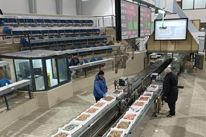 Asta elettronica in affanno al mercato ittico di Pescara