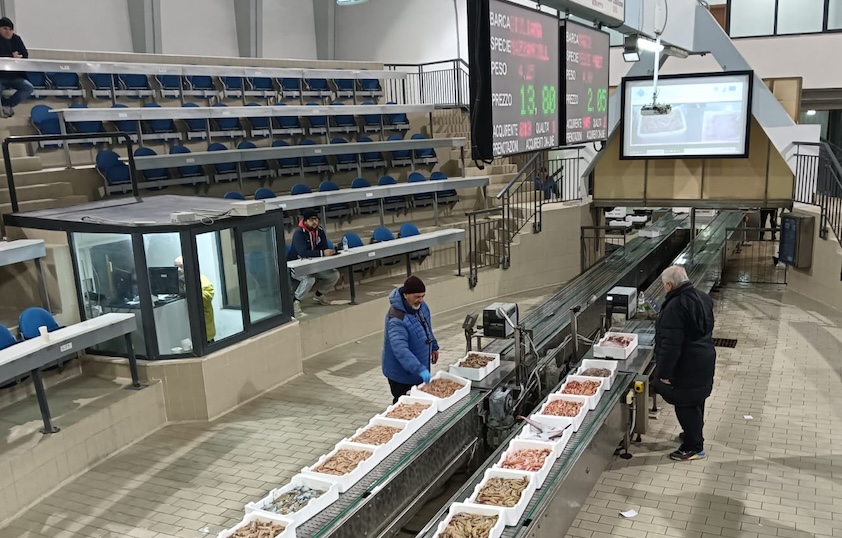 Asta elettronica in affanno al mercato ittico di Pescara